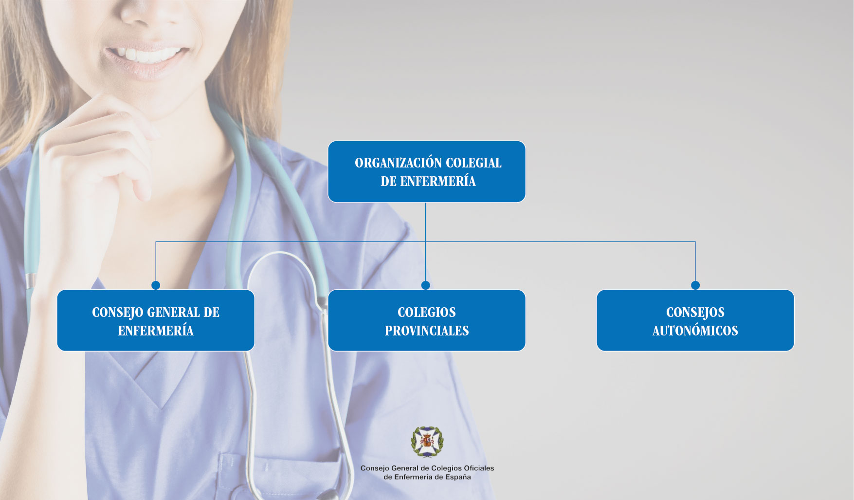 Estructura Órganos de Gobierno Estructura Órganos de Gobierno